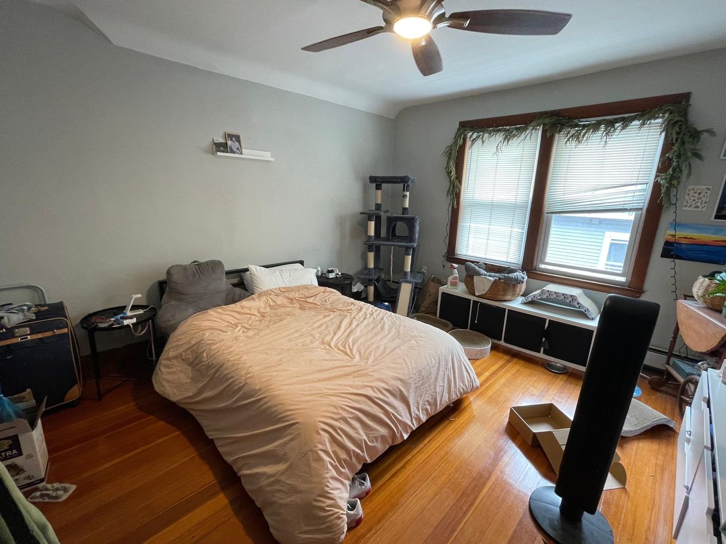 Boston Condo: 19 Mapleton St