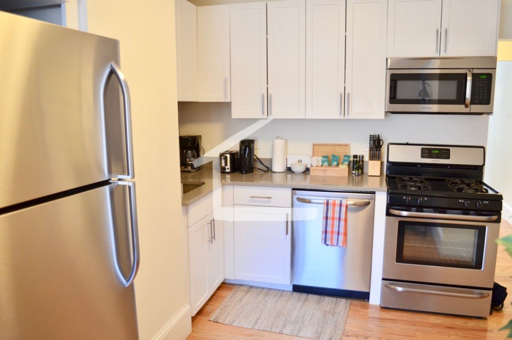 Boston Condo: 37 E Springfield St