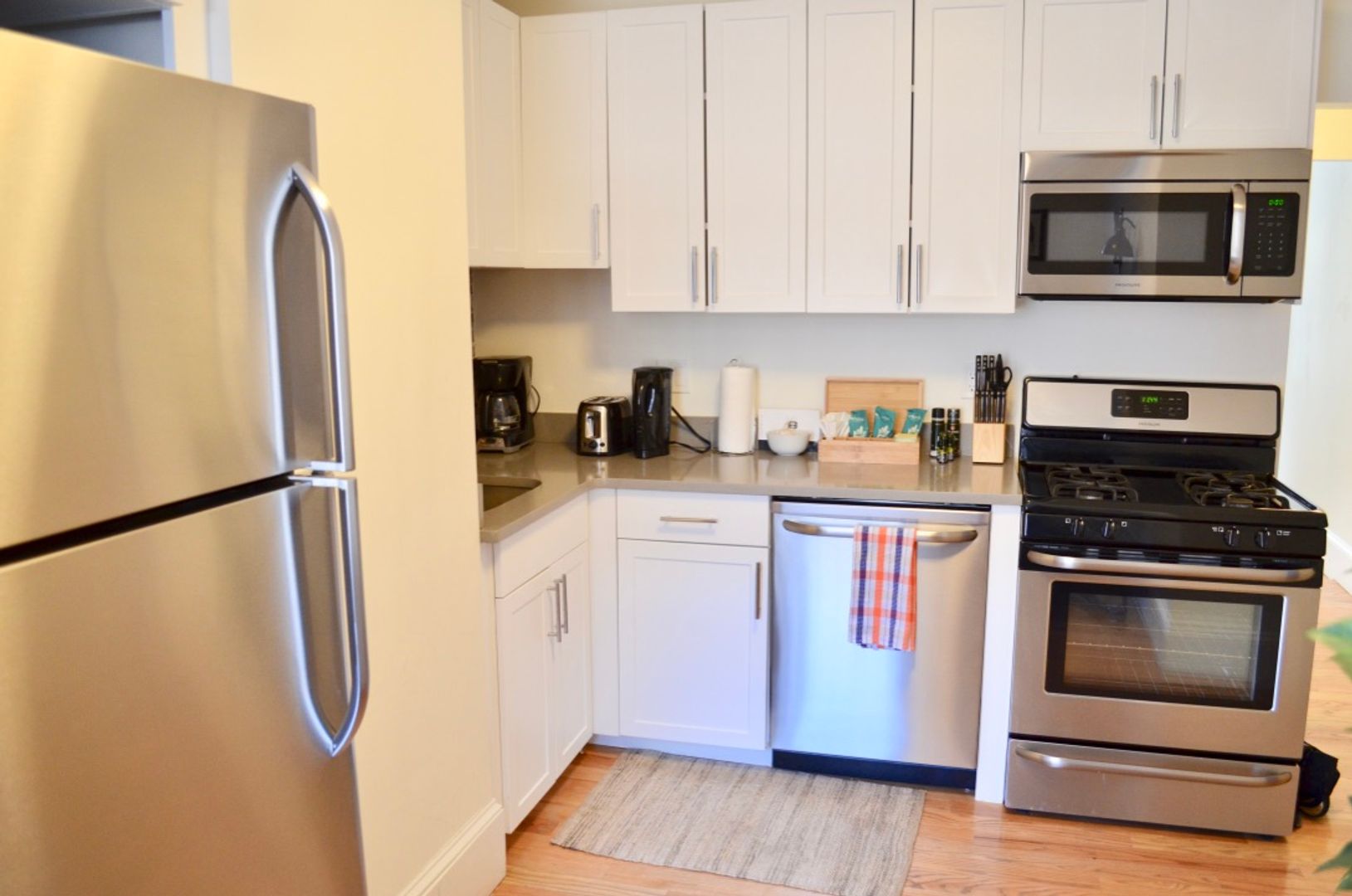 Boston Condo: 40 E Springfield St