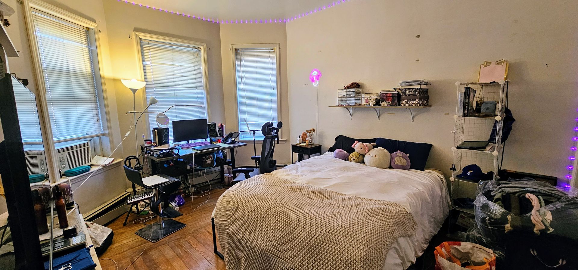 Boston Condo: 6 Litchfield Rd.