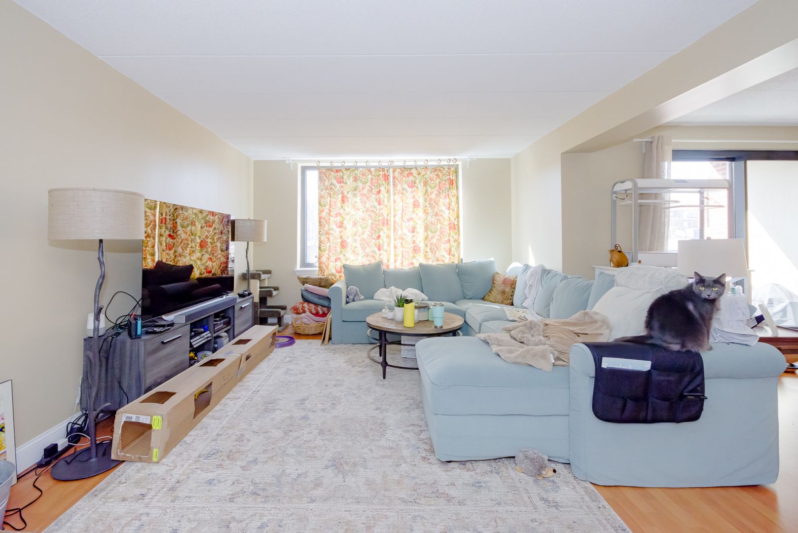 Allston Condo: 85 Brainerd Rd