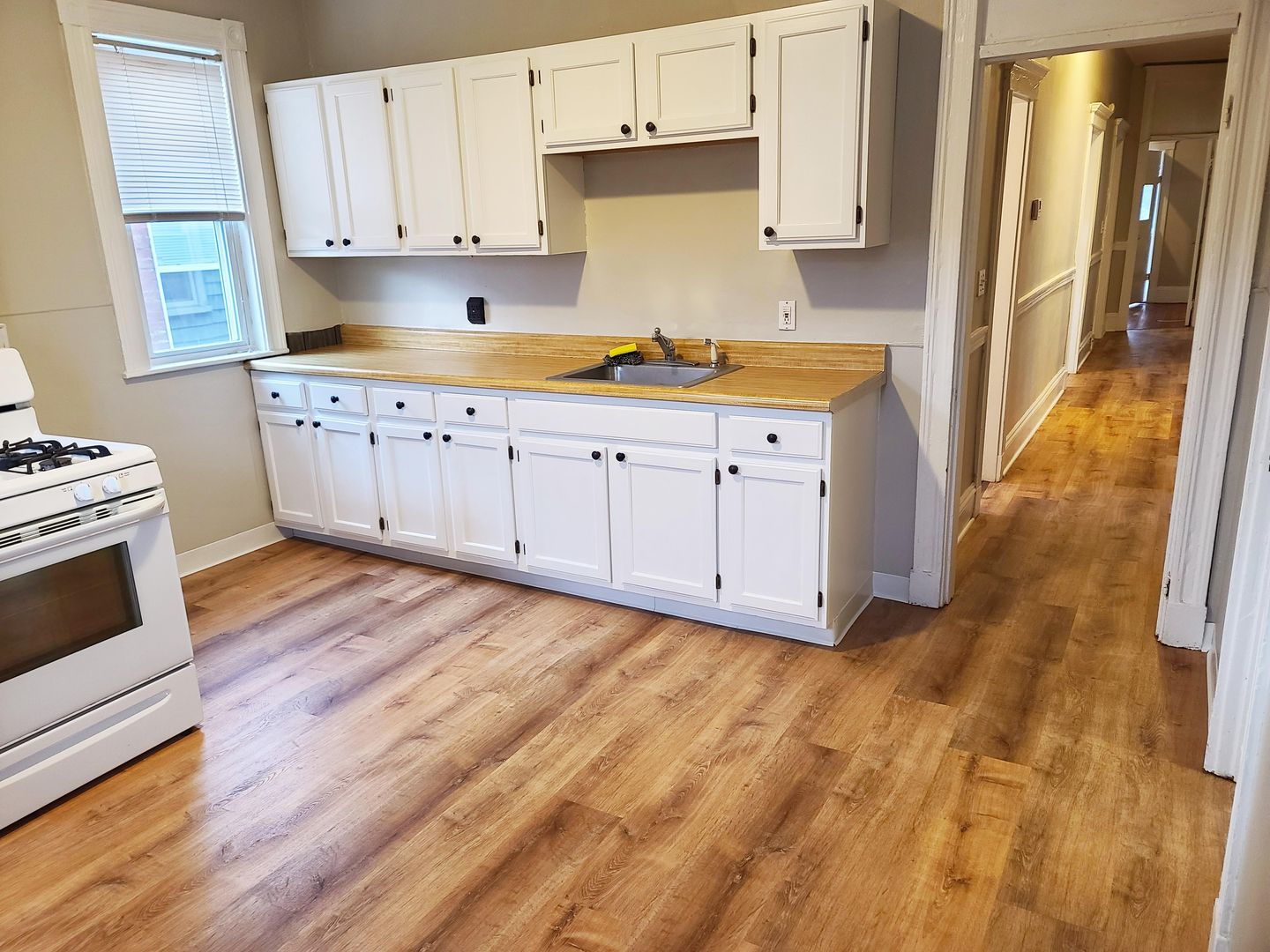 Brighton Condo: 346 Faneuil St