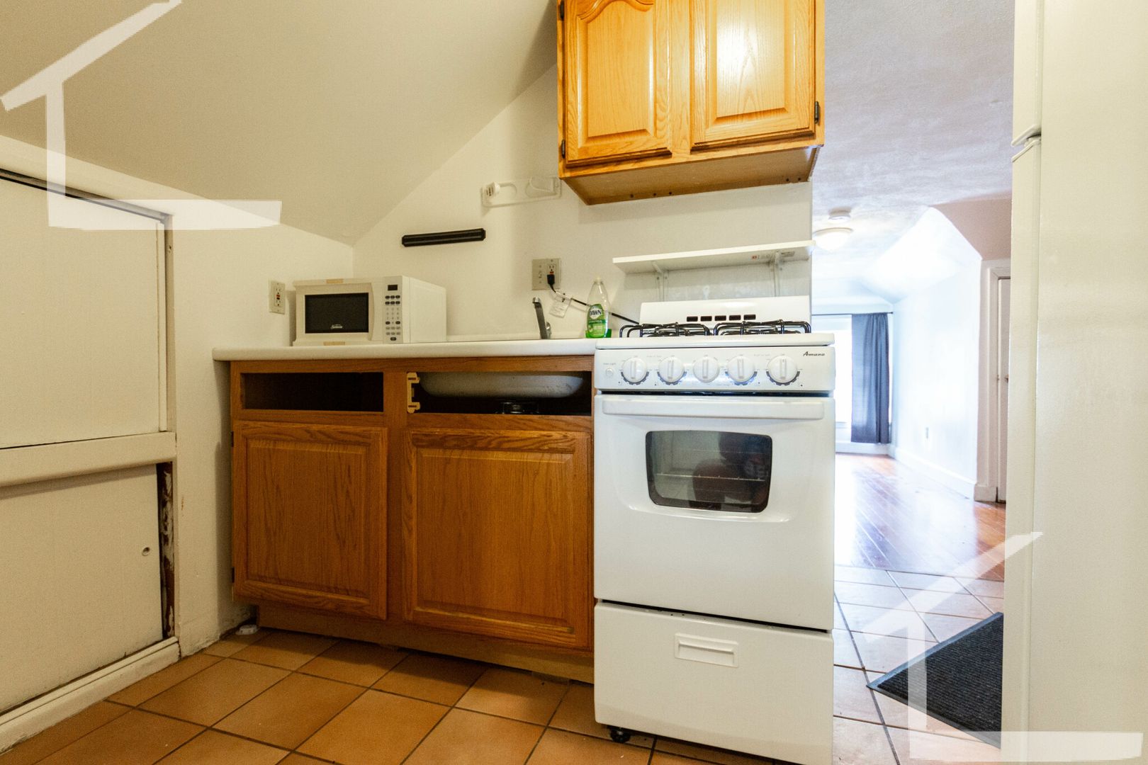 Boston Condo: 163 Strathmore Rd.