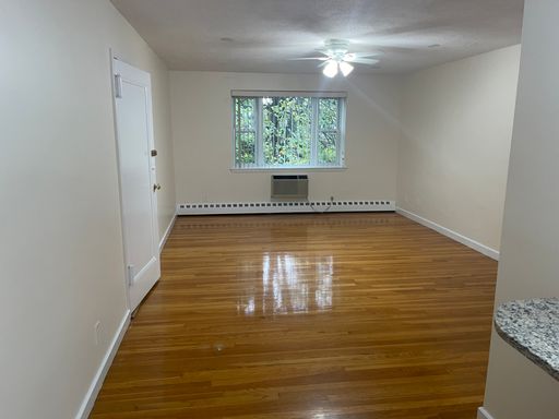 Free month COOLIDGE CORNER, Noce renovated 2 bed in small building, Utilities INC, Pets Ok NO LEAD!