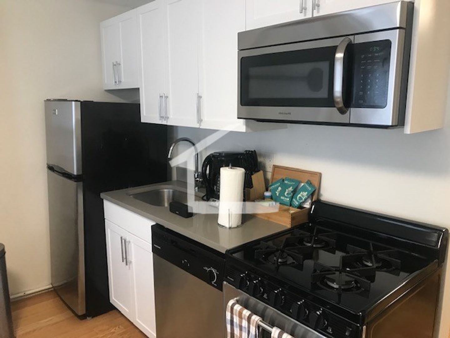 Boston Condo: 36 E Springfield St