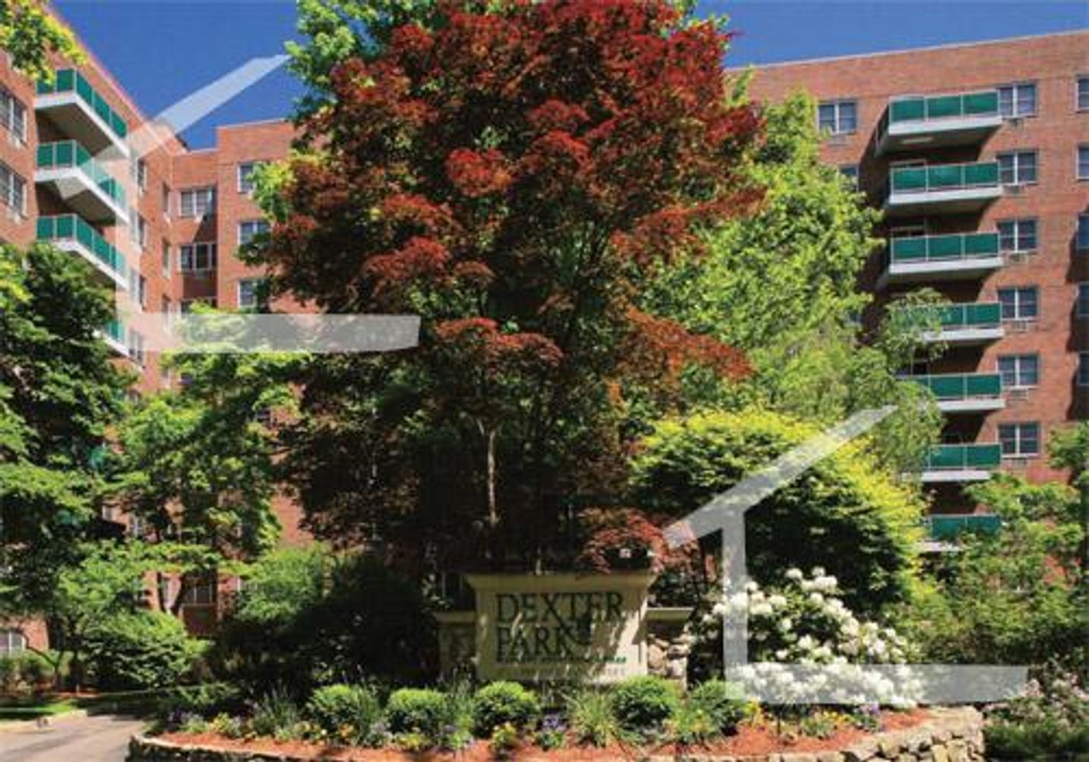 Brookline House: 175B Freeman St.