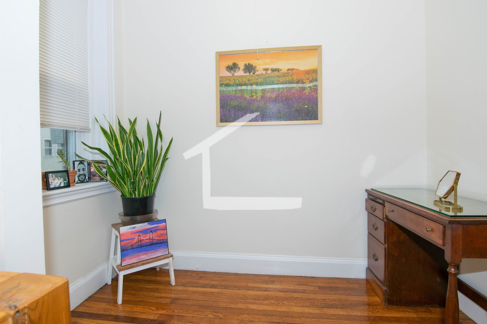 Brookline Condo: 12 Euston St.