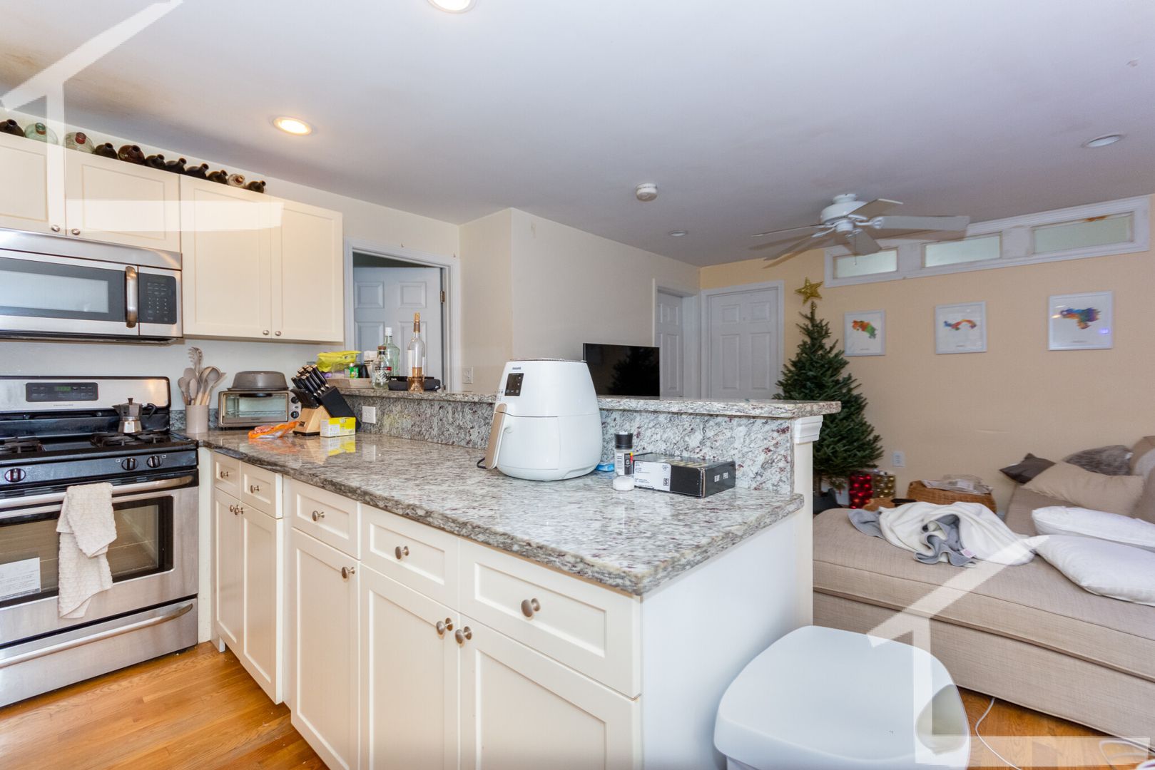 Brookline Condo: 58 Egmont St.