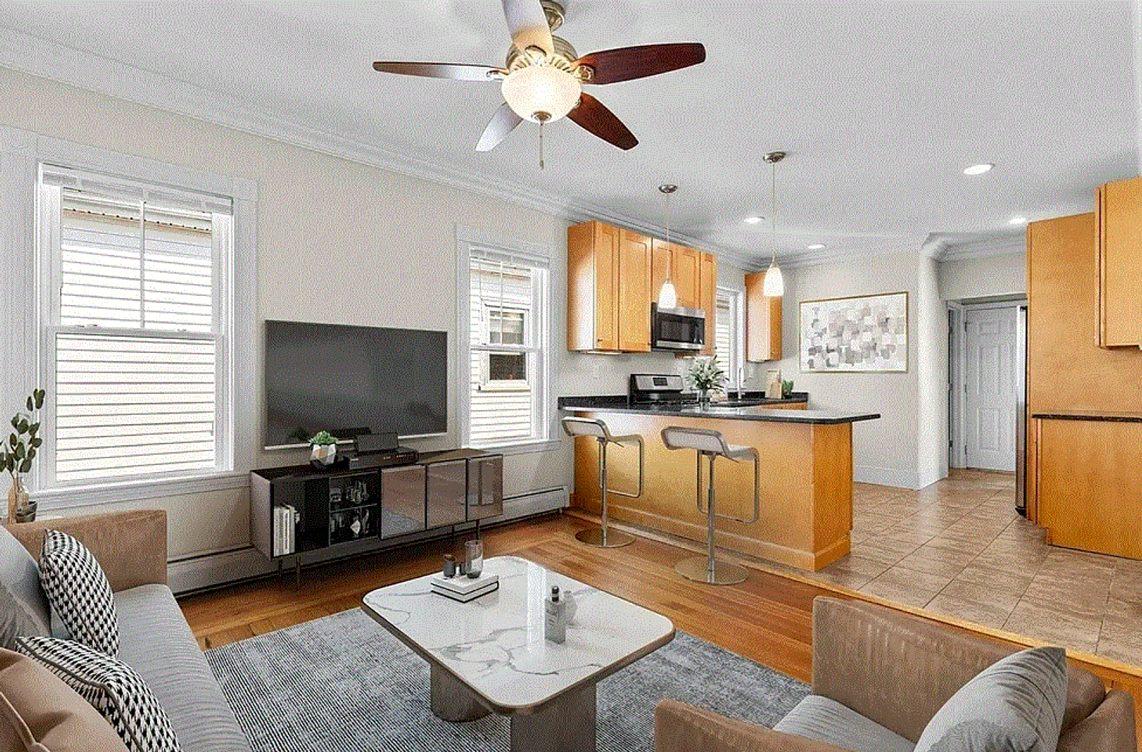 Boston Condo: 13 Woodlawn St.,