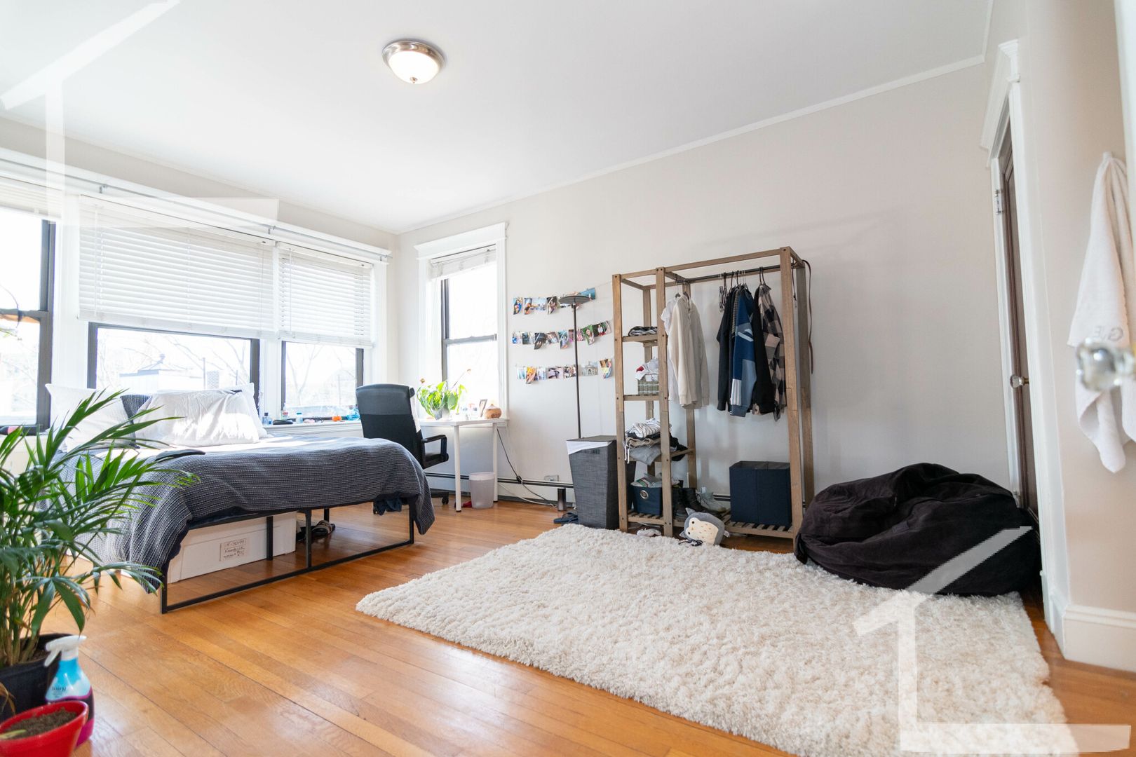 Brookline Condo: 215 Saint Paul St