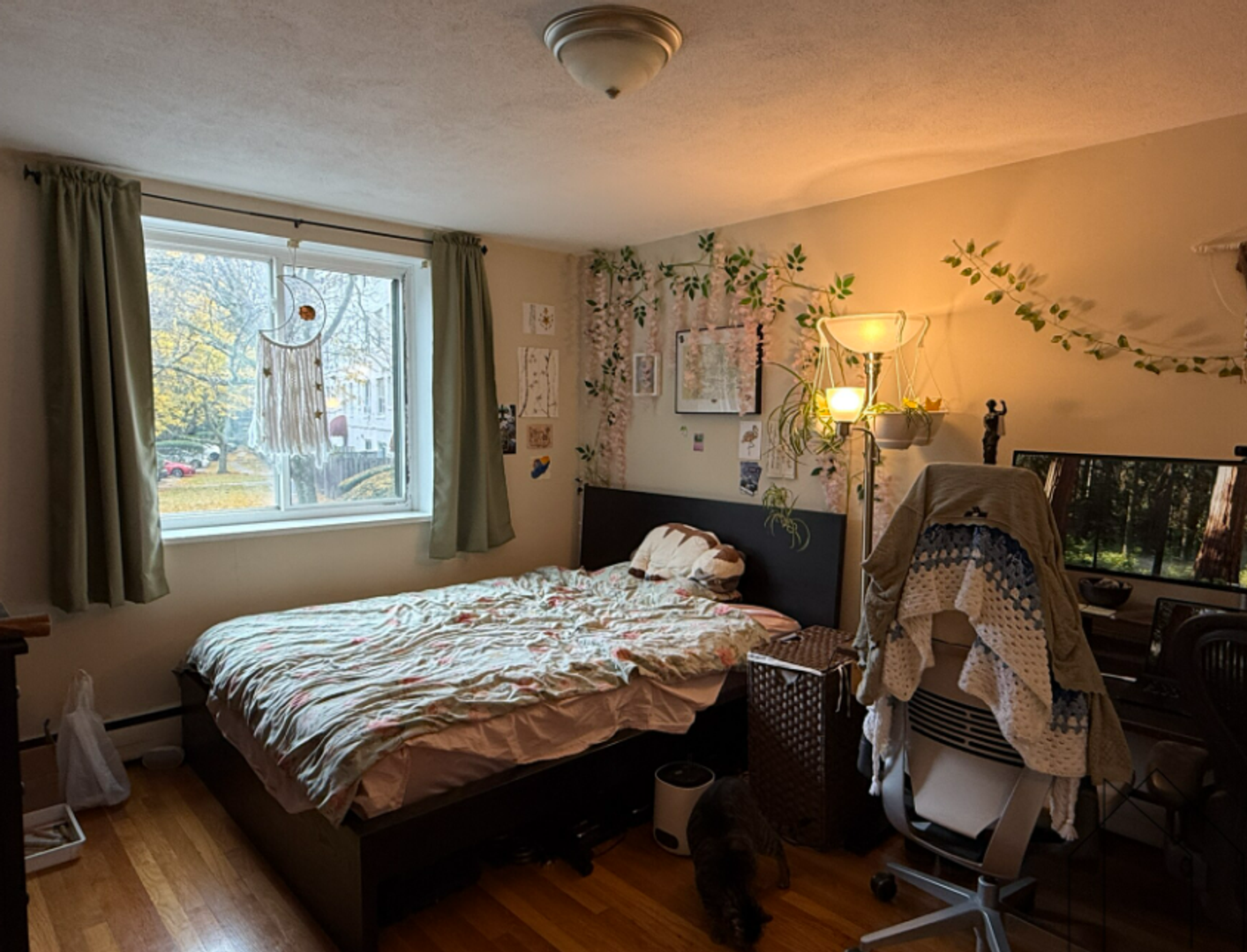 Brookline Condo: 205 Kent St.,