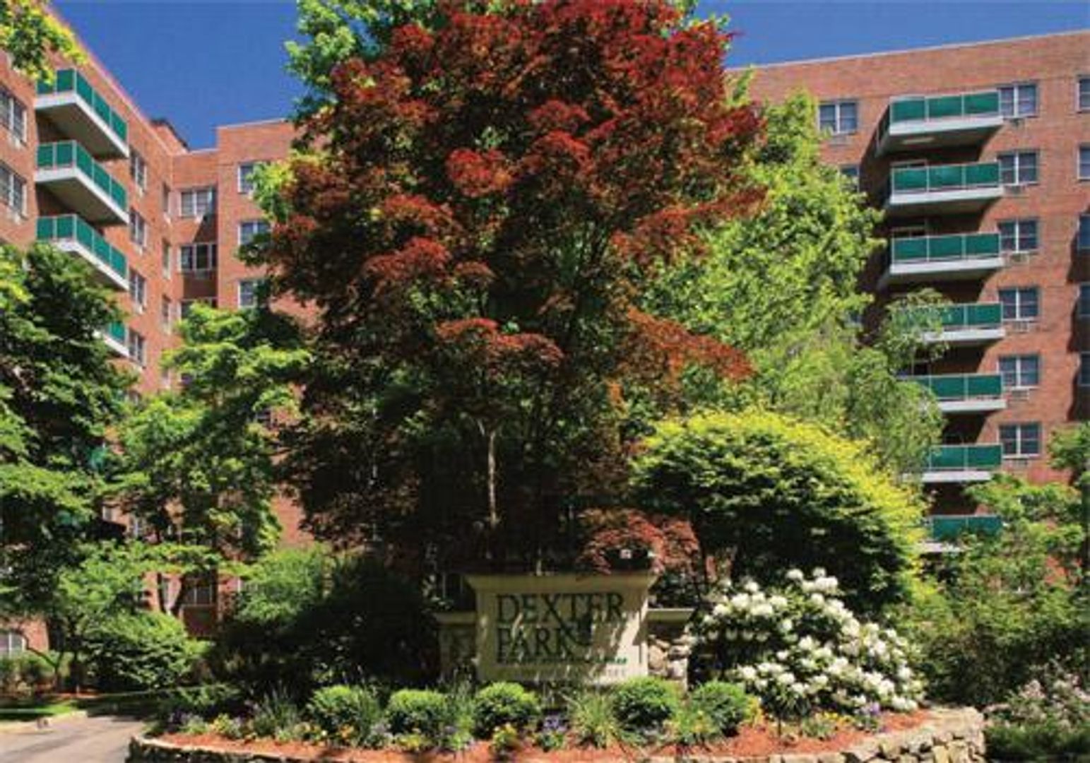 Brookline Condo: 185 Freeman St