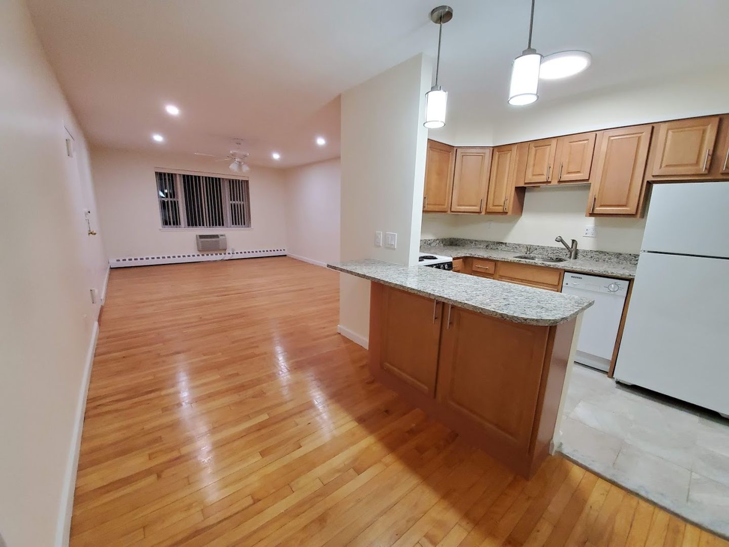 Brookline Condo: 55 Parkman St