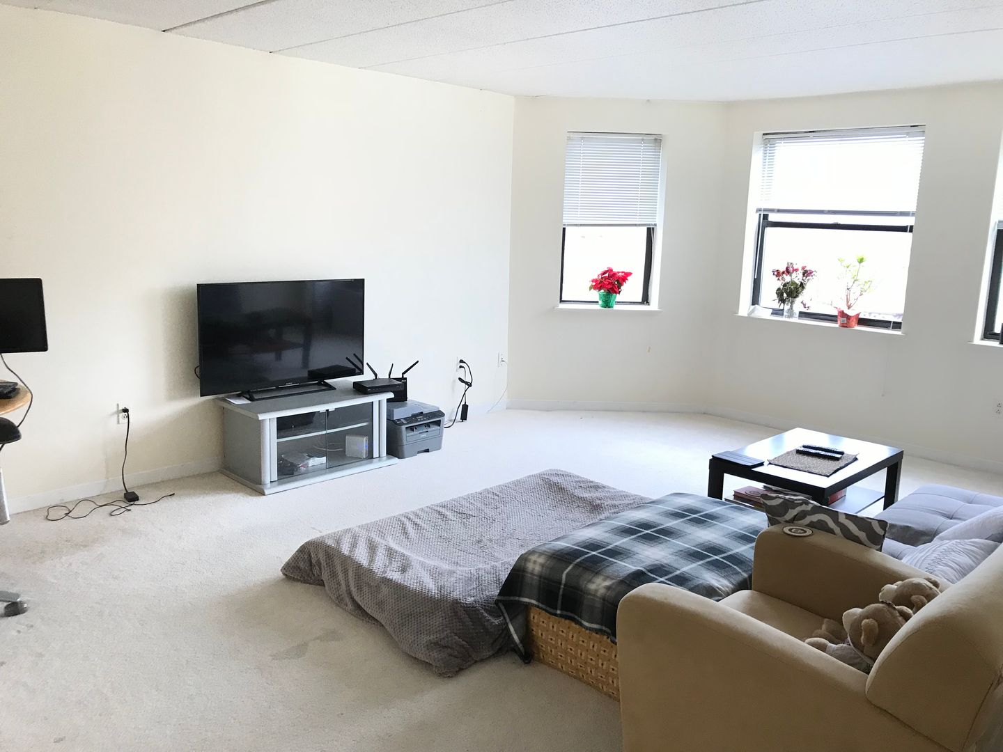 Boston Condo: 1933 Commonwealth Avenue
