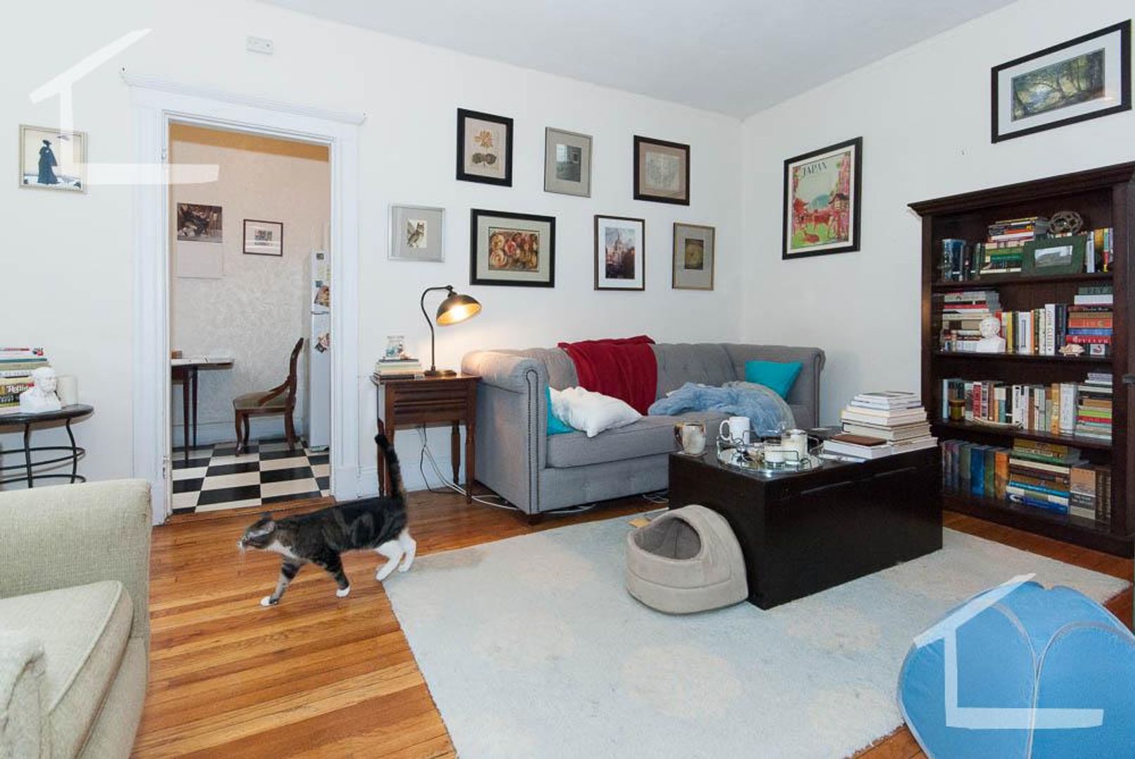 Boston Condo: 120 Brainerd Rd