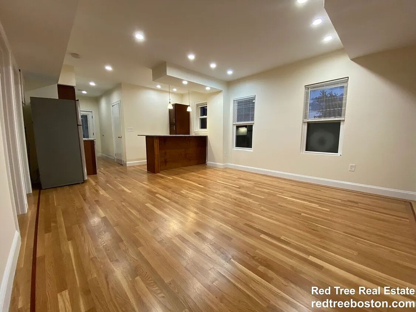Somerville Condo: 29 Cherry St