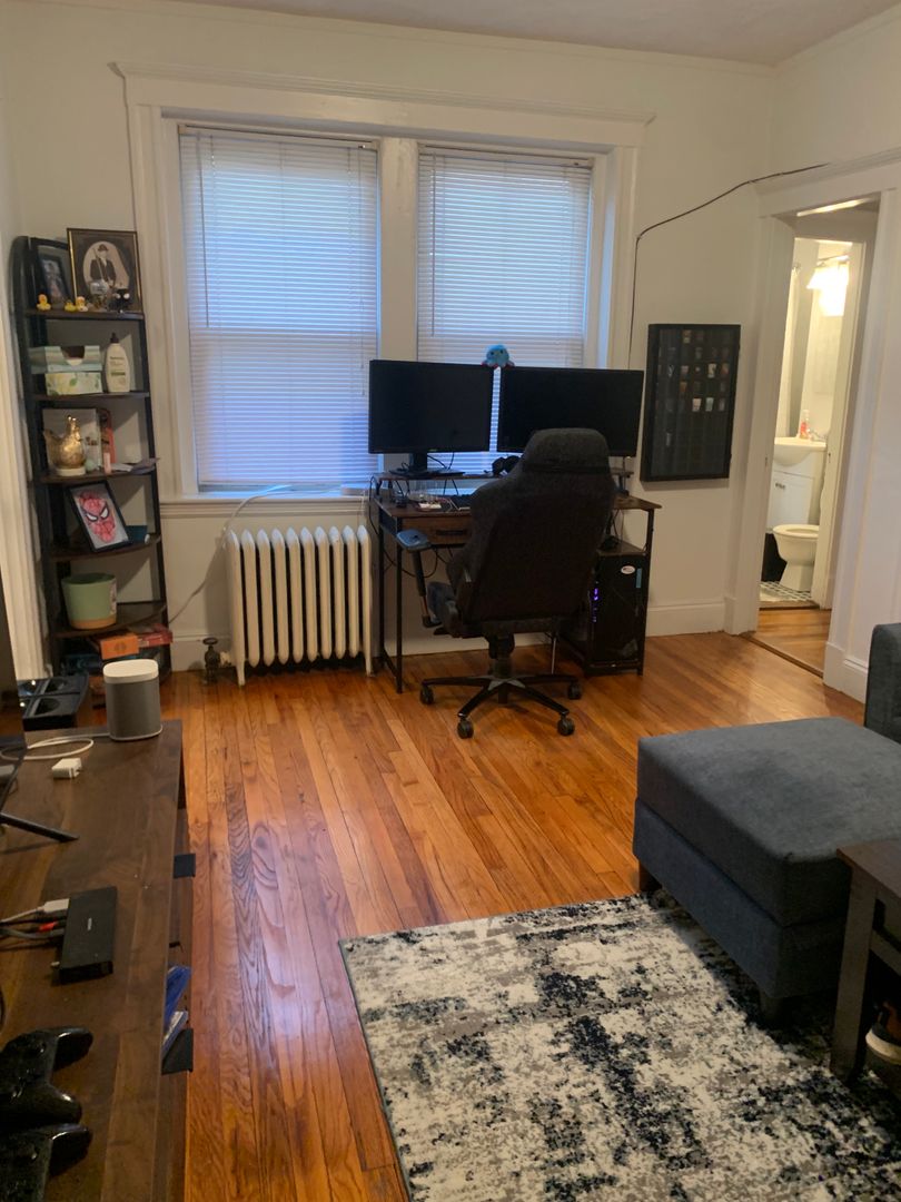 Boston Condo: 101 Brainerd Rd