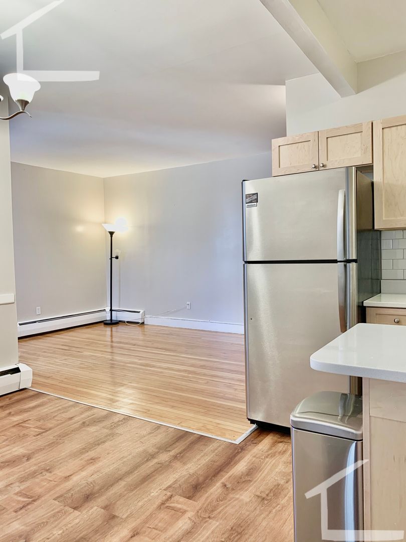Brookline Condo: 170 Winthrop Rd