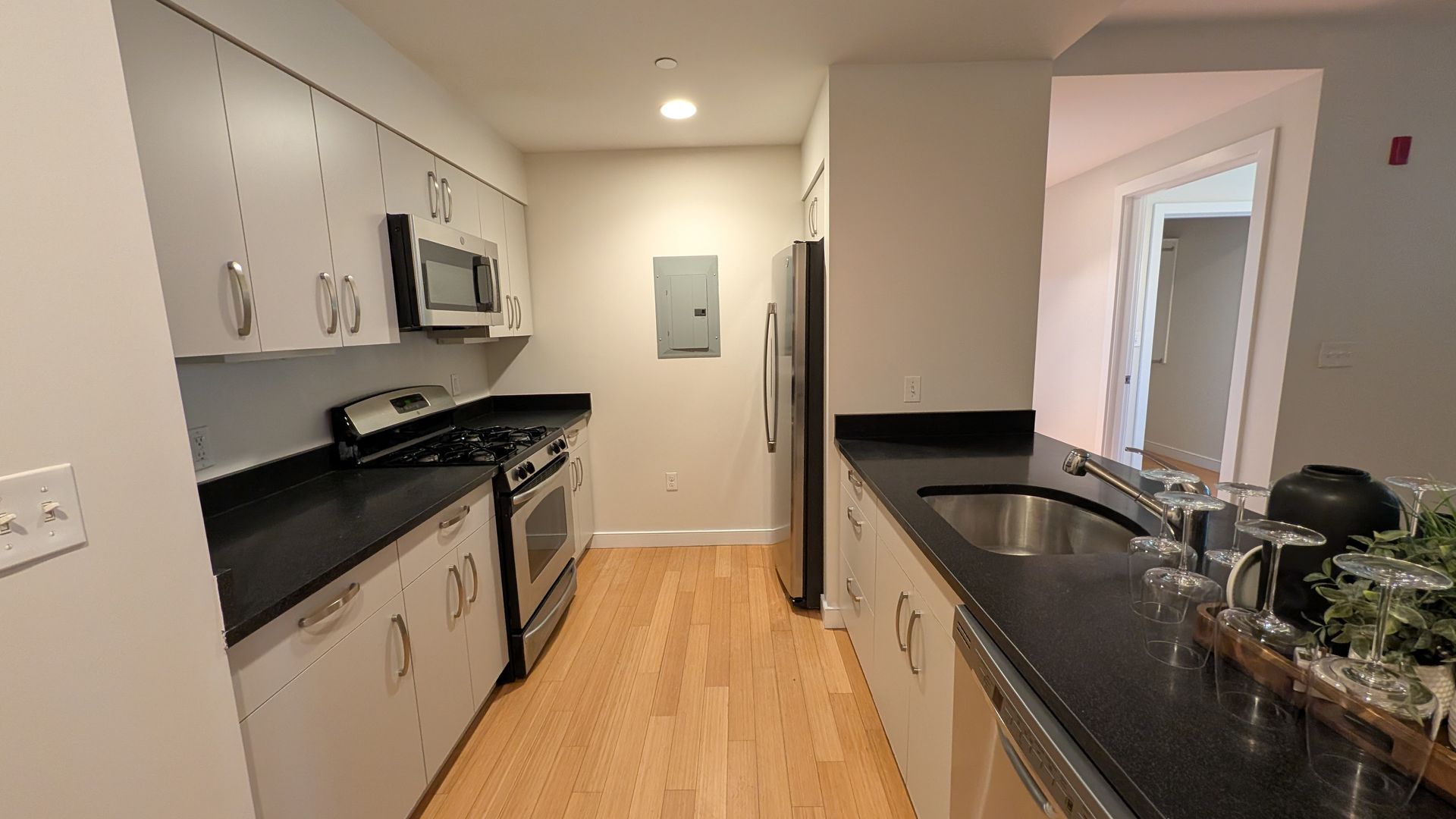 Boston Condo: 603 Albany St.