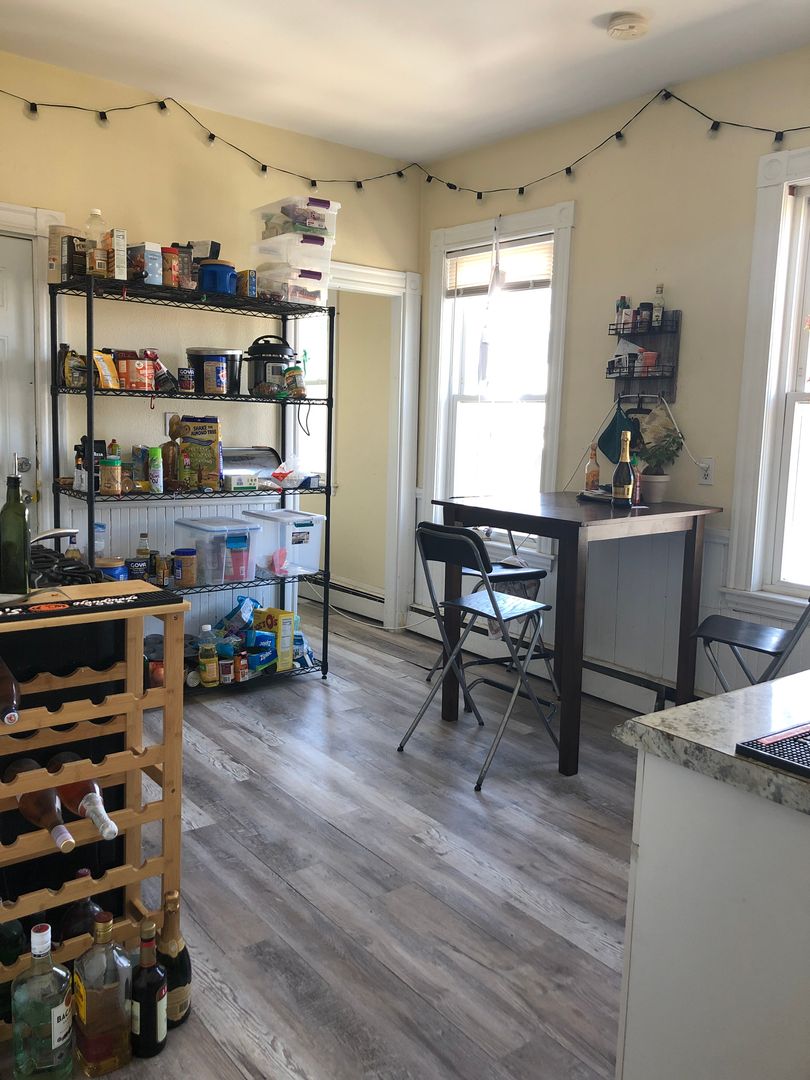 Boston Condo: 29 Cherokee St