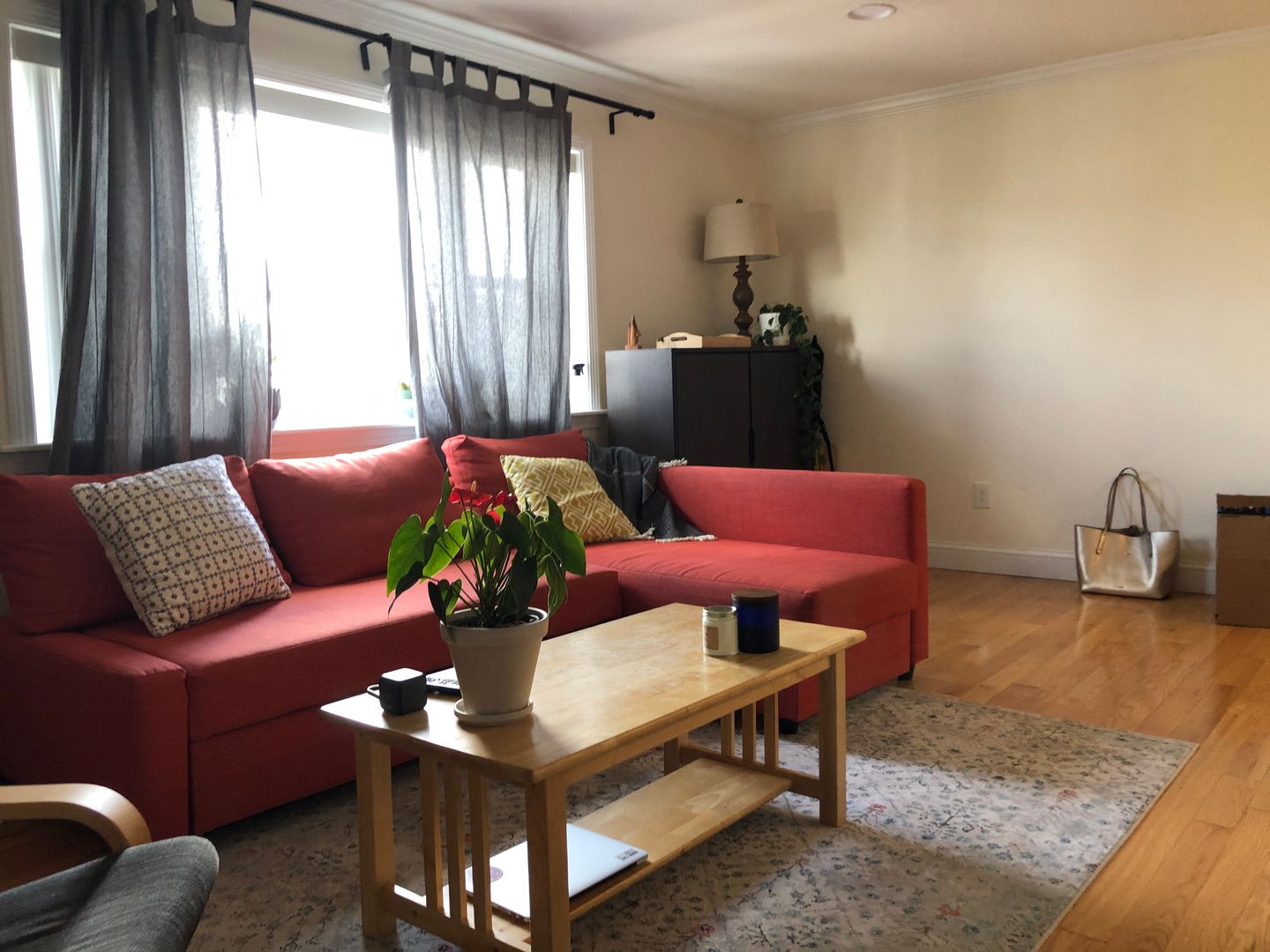 Allston Condo: 16 Westford St