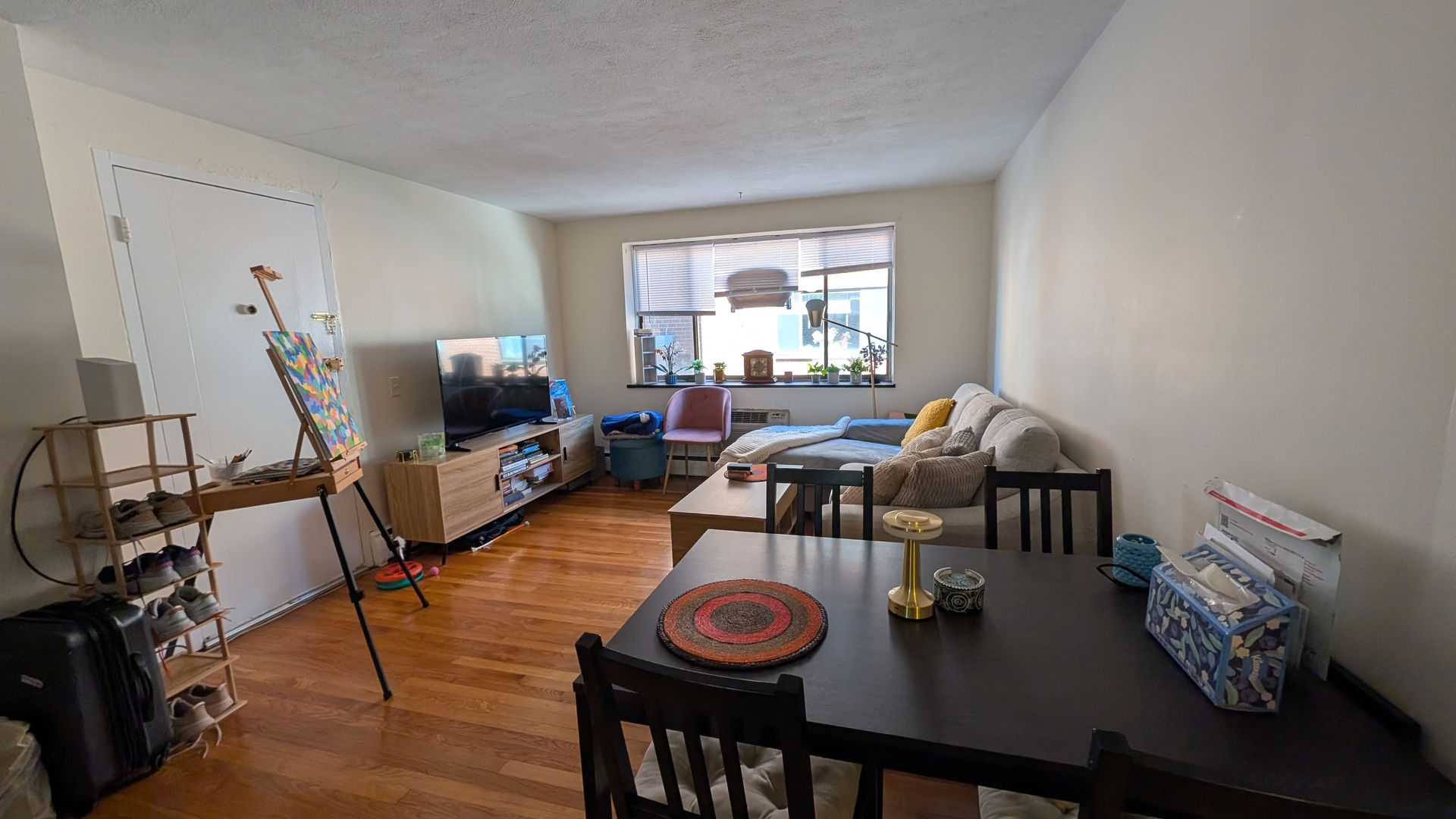 Boston Condo: 222 Babcock St.