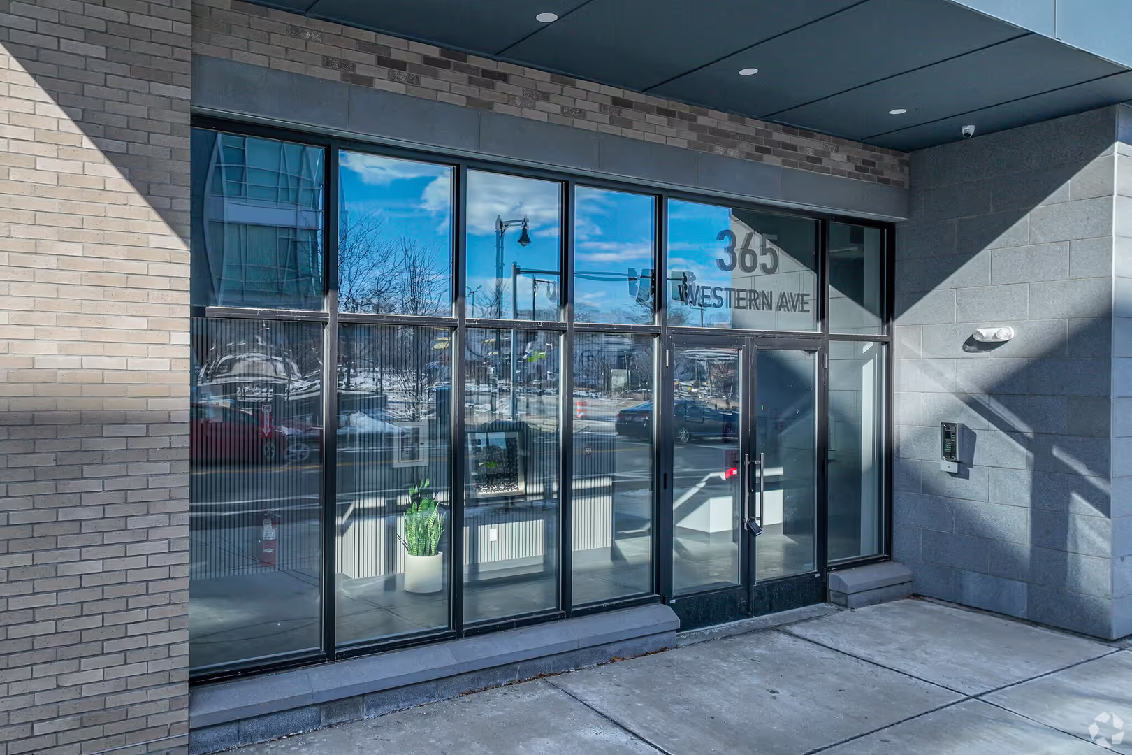 Brighton Condo: 384 Western Ave