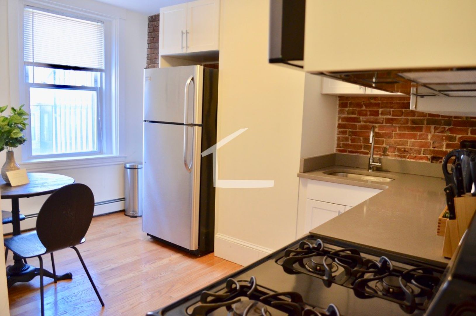 Boston Condo: 42 East Springfield St.,