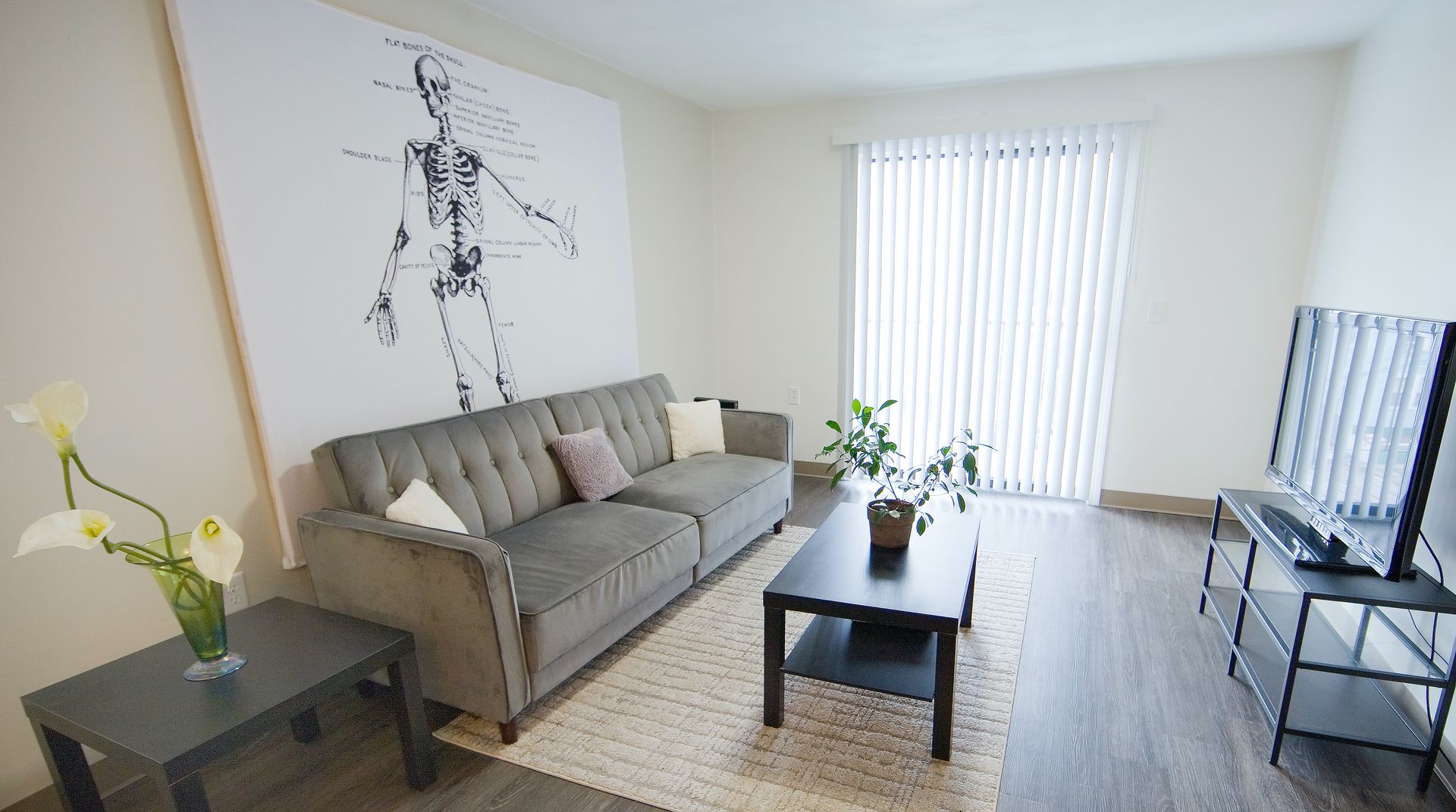 Mission Hill Condo: 5 Darling St