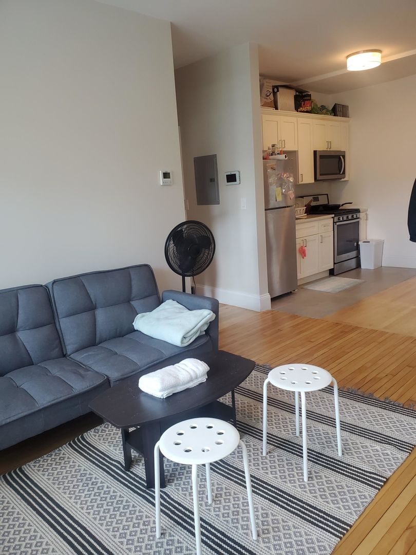 Boston Condo: 8 Gardner St.,