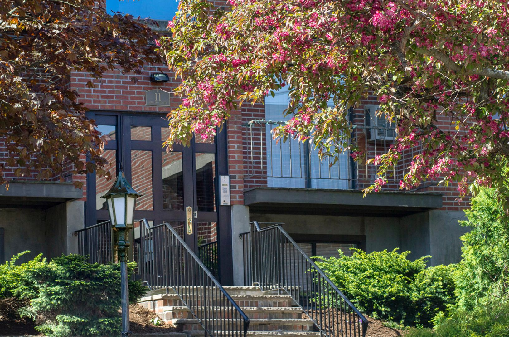 Boston Condo: 11 Darling