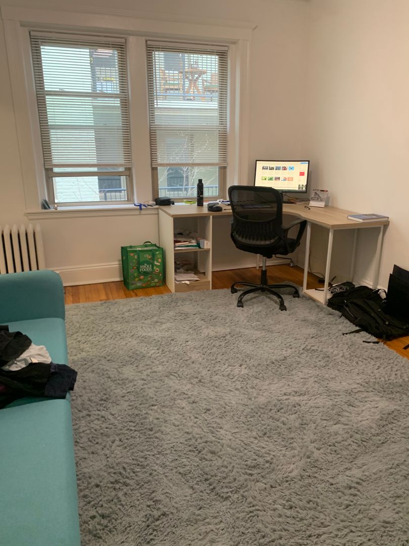 Boston Condo: 142 Brainerd Rd