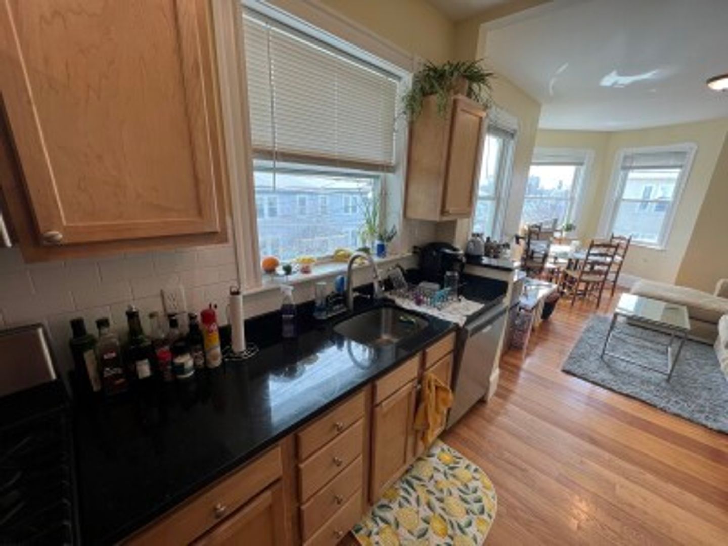 Somerville Condo: 52 Lowell St.