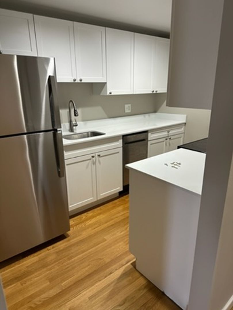 Boston Condo: 1744 Washington St