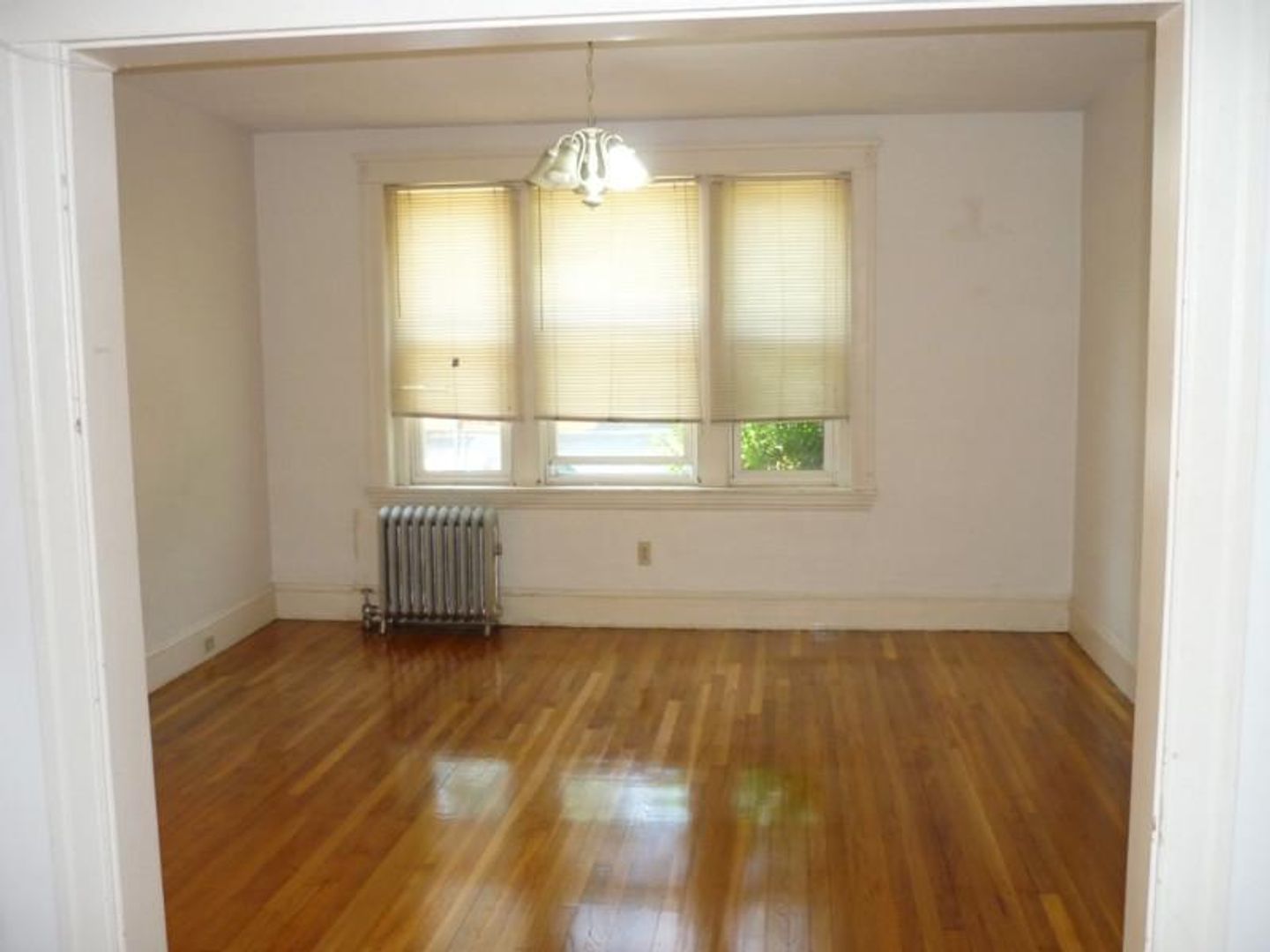Brookline Condo: 237 Freeman St