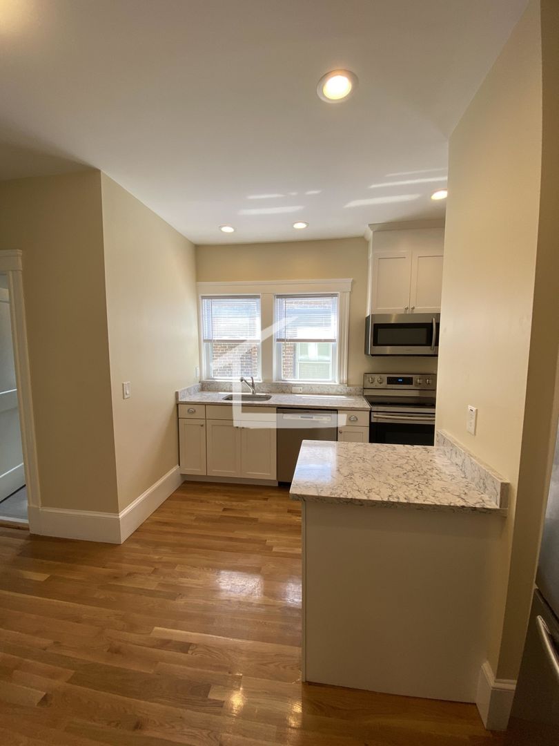 Brookline Condo: 303 Tappan St