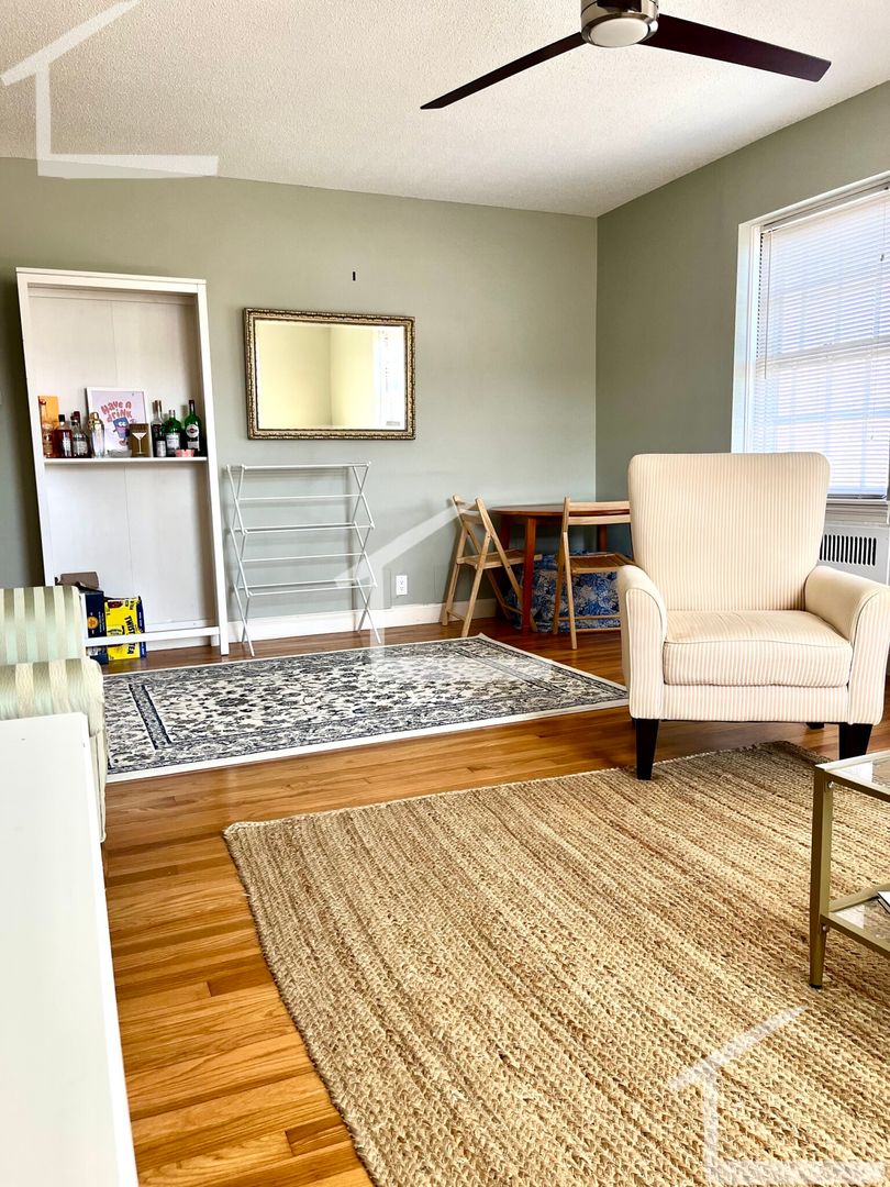 Brookline Condo: 36 Browne St