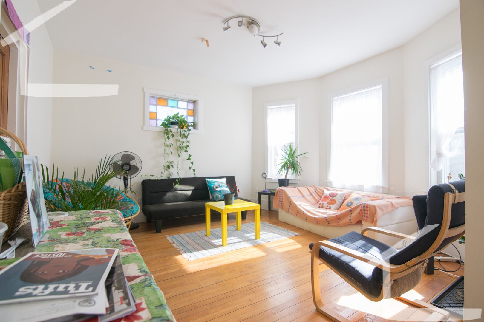 Cambridge Condo: 225 Harvard St