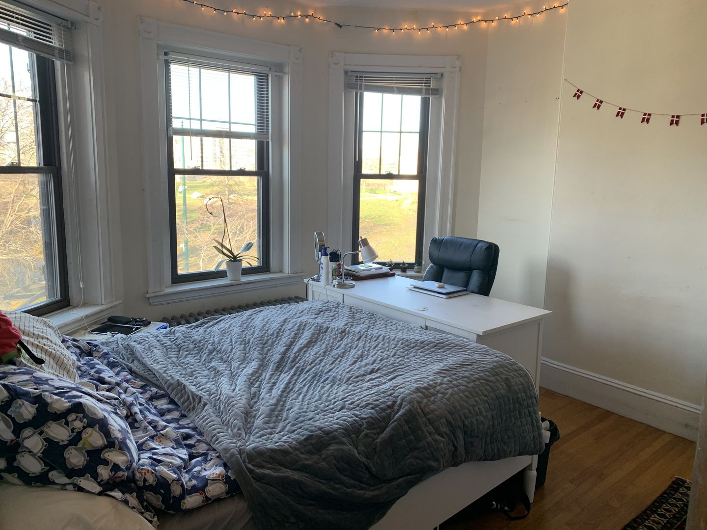 Boston Condo: 164 Saint Alphonsus St