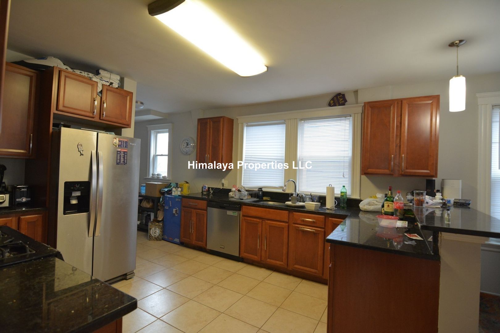Boston Condo: 222 Calumet St.,