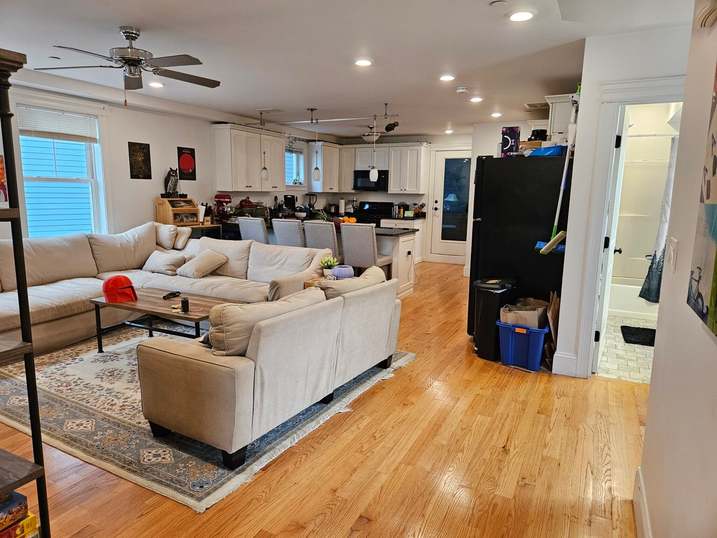 Boston Condo: 18 Fern St.,
