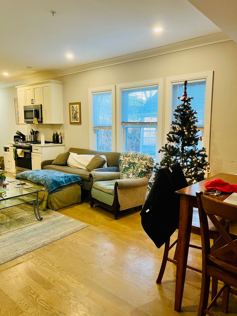 Allston Condo: 46 Ridgemont St