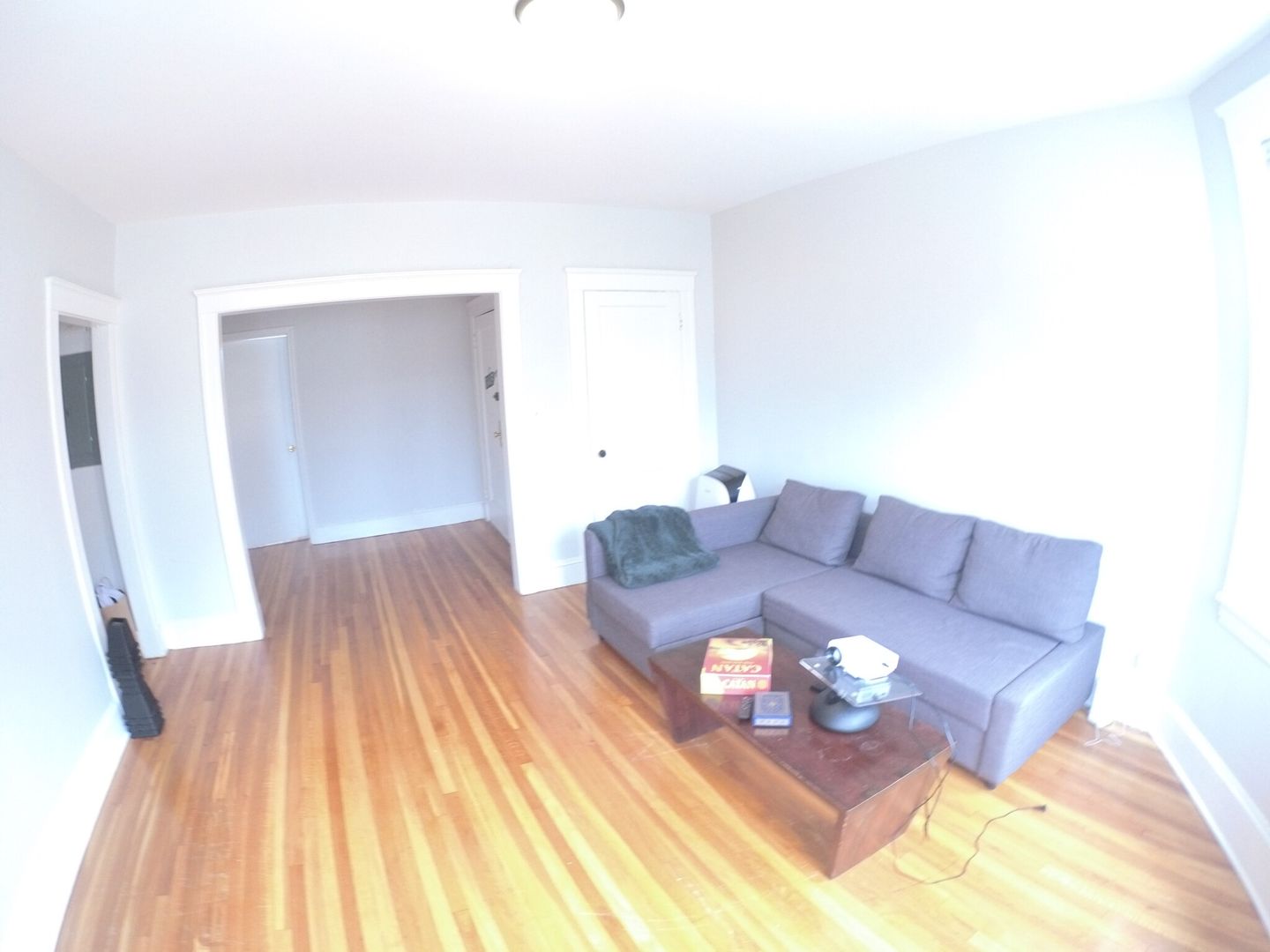 Brookline Condo: 230 Freeman St.,