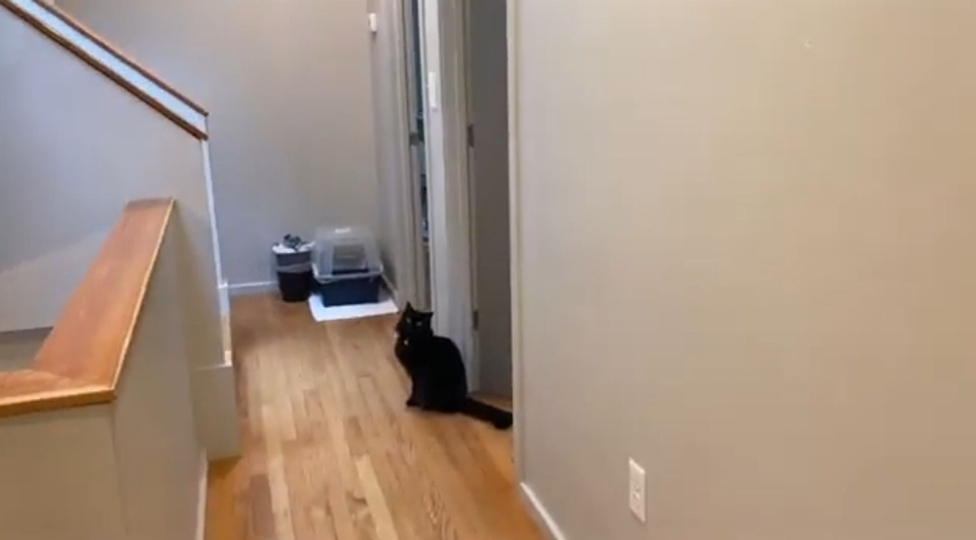 Boston (Allston) House: 53  Glenvillle Ave