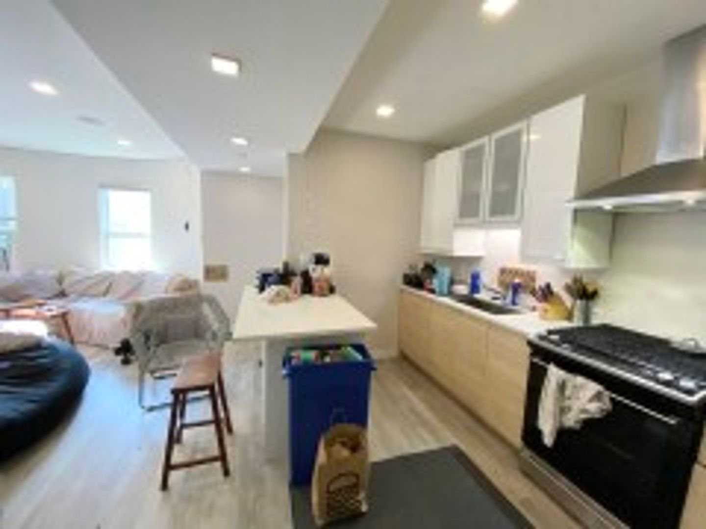 Boston Condo: 113 Hillside St