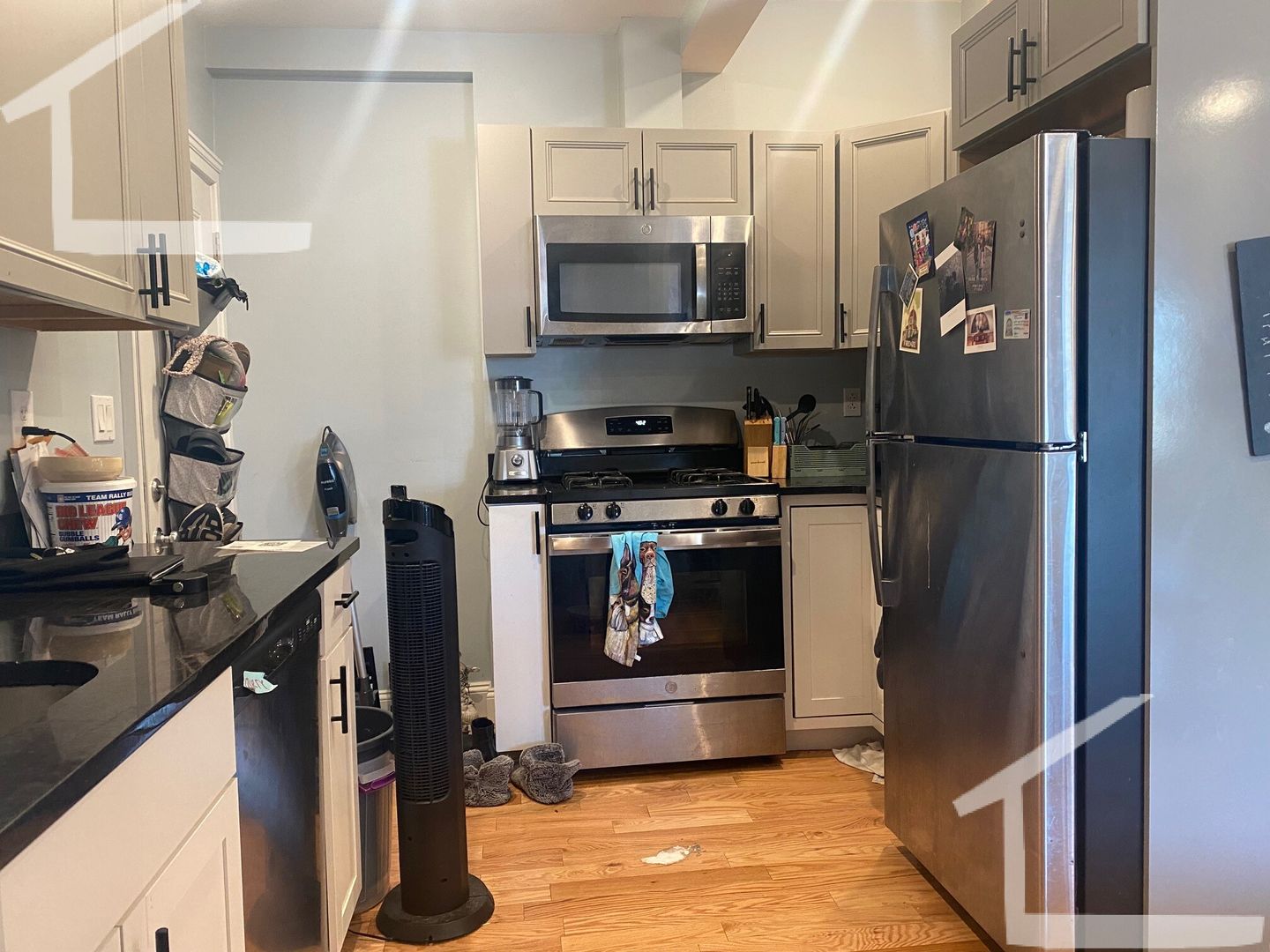 Boston Condo: 183 Harvard Ave