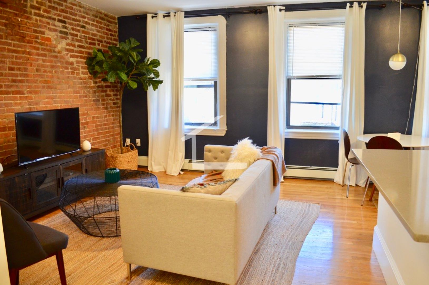 Boston Condo: 36 East Springfield St.