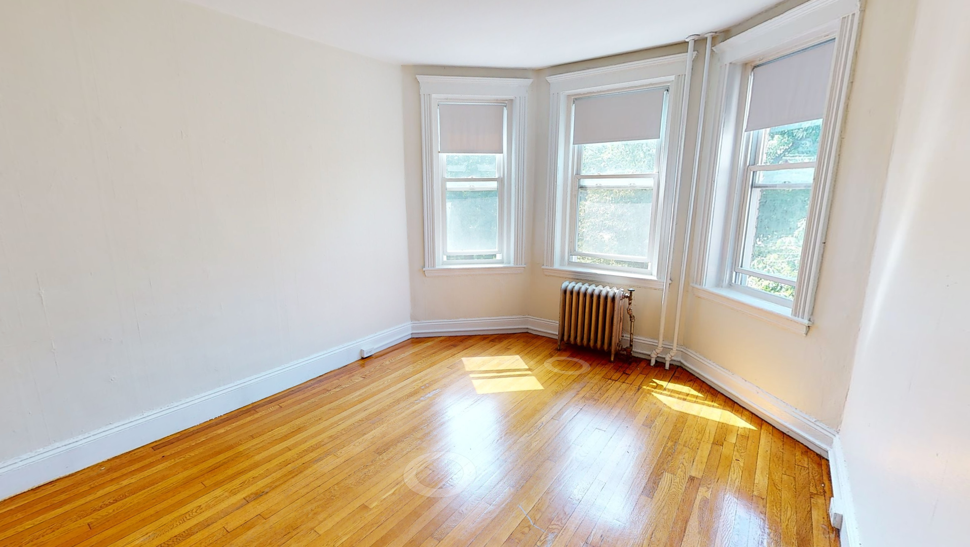 Boston Condo: 233 Park Drive