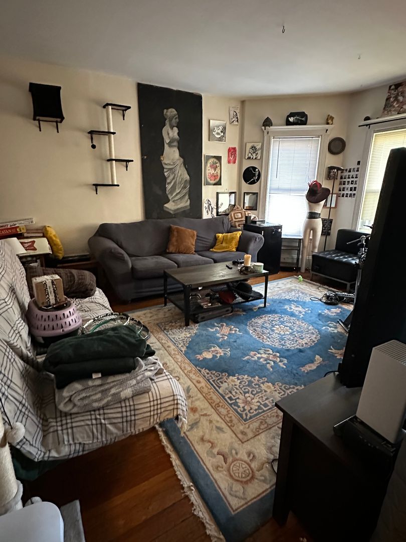 Boston Condo: 37 Brainerd Rd