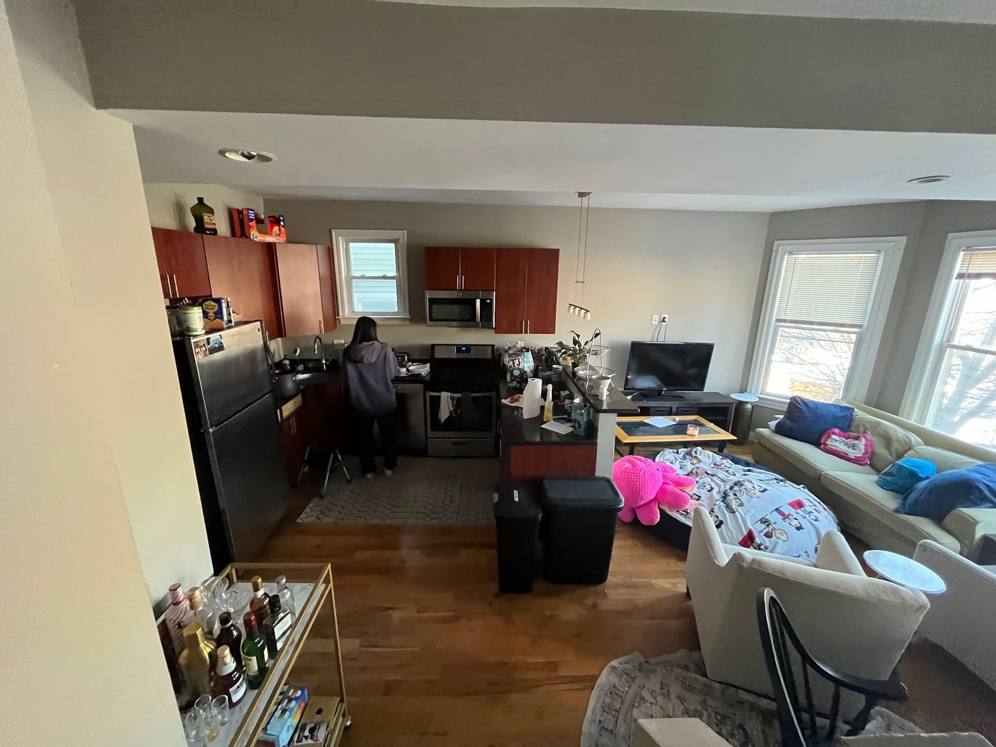 Boston Condo: 192 Alleghany St